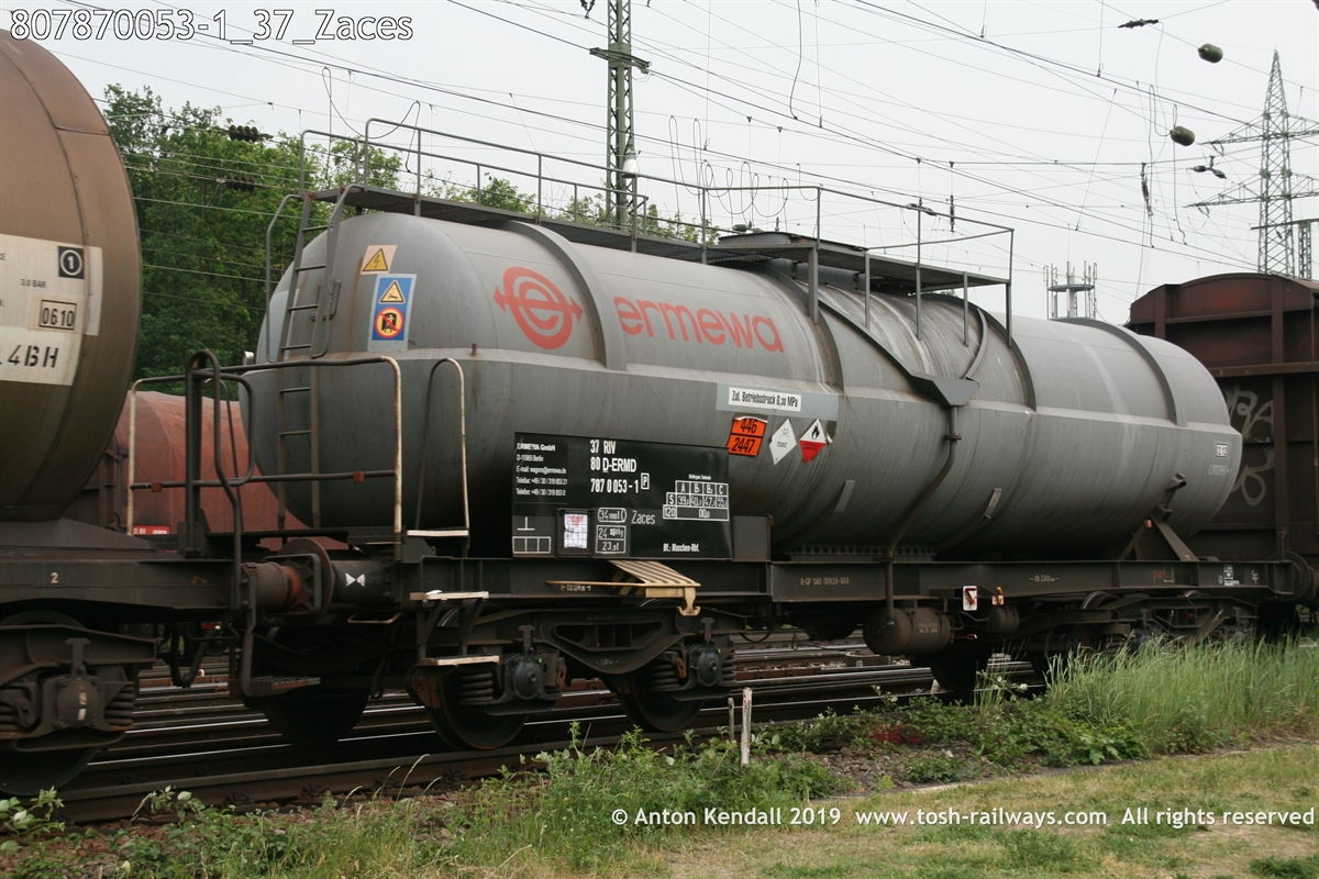807870053-1_37_Zaces.jpg